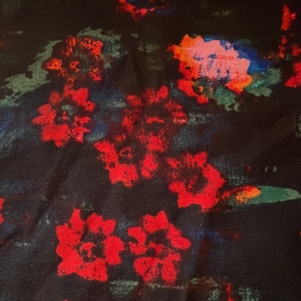 Rachel Comey for Target Black Maxi Dress with Red Floral Print - Picture 9 of 10